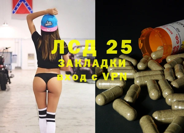 гидра Алзамай