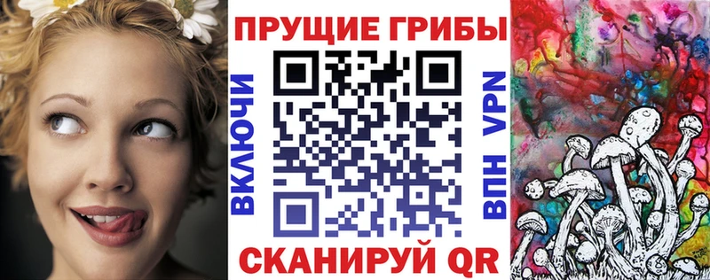 купить наркоту  Дзержинск  Псилоцибиновые грибы Psilocybine cubensis 