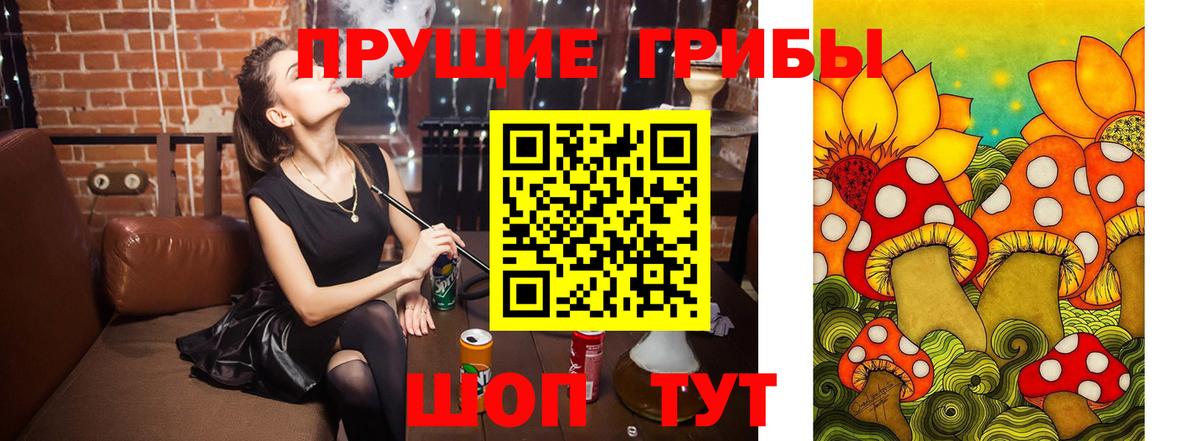 Дзержинск  Псилоцибиновые грибы GOLDEN TEACHER  Вход с VPN 