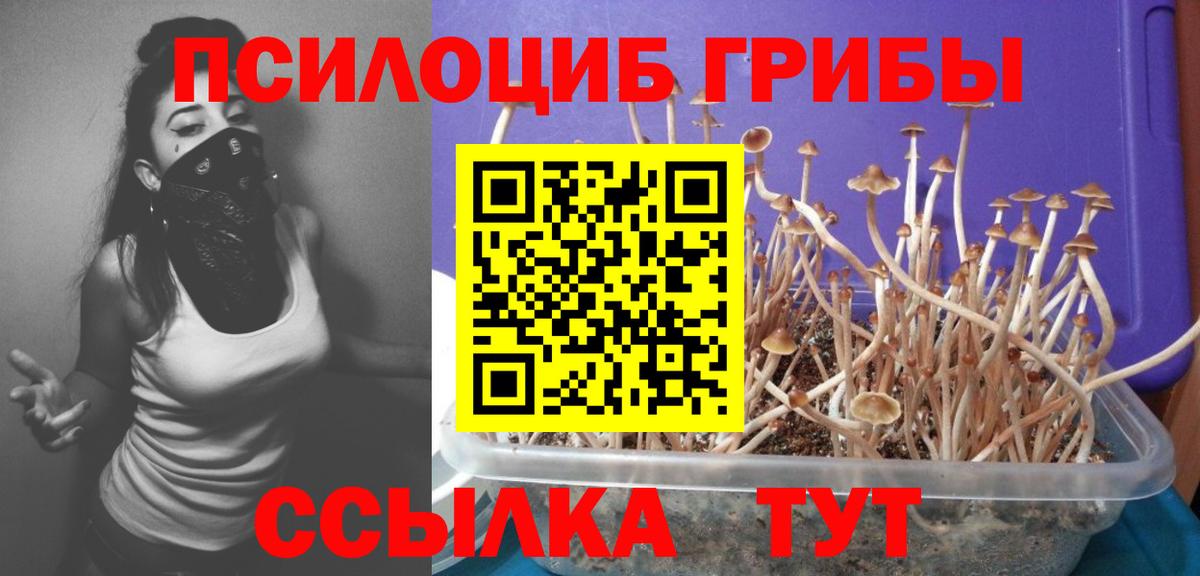 Псилоцибиновые грибы GOLDEN TEACHER Дзержинск